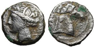 Carthage, Zeugitania AE20 Tanit & Horse Head Authentic Ancient Greek 