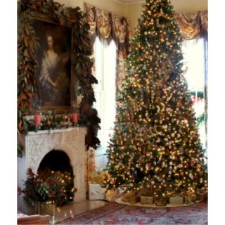 Christmas 10x20ft Hand Painted Background Backdrop Photographic 