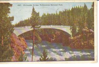 Chittenden Bridge Yellowstone Park Vintage Postcard
