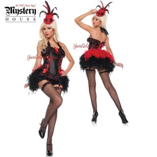 French Cabaret Fancy Costume 2012 Authentic Mystery House Moulin Rouge 