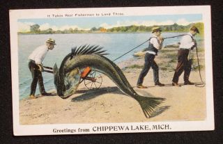 1920s Fish Wheelbarrow Exaggeration CHIPPEWA Lake MI PC