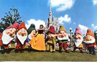  Greet Guests Disney World Florida Chrome Theme Park Postcard