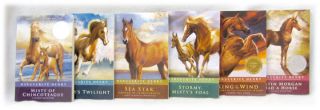  Henry Horse Book Set Lot Misty of Chincoteague Sea Star Stormy