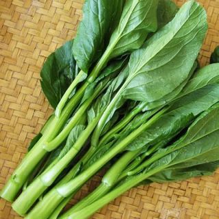 500 Chinese Choy Sum Vegetable Seeds 90 Live Seeds