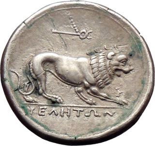 LUCANIA; VELIA, 300 BC, Fourree Stater. Head of Athena/Lion.