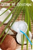 CBD Cream of Coconut Perfume Oil Rollon Gourmand Tropic