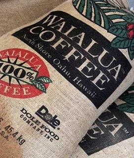 COFFEE~ Coffea Waialua Coffee Tree Seedling LIVE HAWAIIAN COFFEE