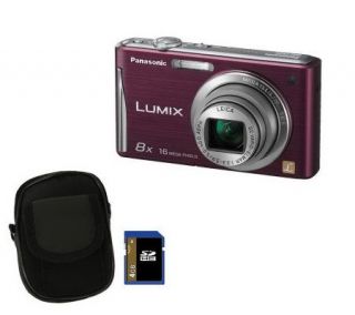 Panasonic 16MP Camera 8X Optical Zoom Leica Lens, SD Card, Bag