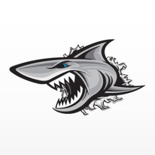 Decal Sticker Shark Attacker Smash Damage Boat Jet Ski Hole Surf