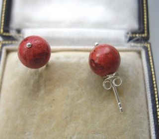 traditional genuine red coral silver stud earrings
