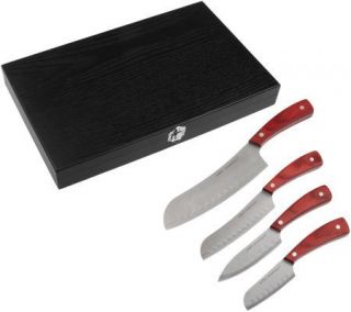 CooksEssentials 4 piece Arc Handle Santoku Knife Set w/Gift Box