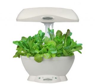 AeroGarden Ultimate Kitchen Gardener 6 Plant &Herb Seed Kit — 