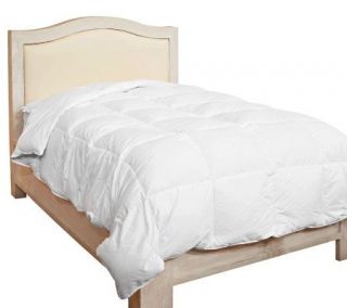 Northern Nights King Oversized 600FP White Down Comforter —