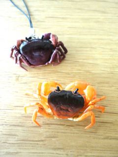 Crab Nature Miniature Capsule Marine Life Museum PVC Taxidermy Yellow
