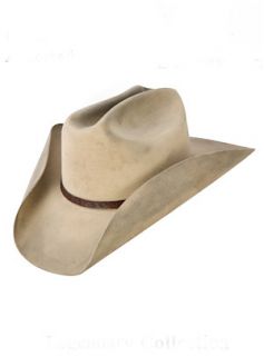 Stetson 4X Fur Blend Boss of The Plains Cowboy Hat