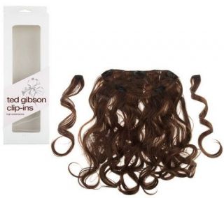 Ted Gibson Full Head Hair Extension w/2 Side Pieces —