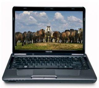 Toshiba 14 Notebook 3GB RAM,320GBHD & DVD double layer drive