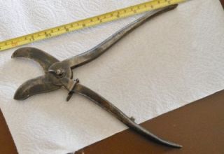 Antique Currier Koeth Coudersport Pa. Combo Cutter Tool Pat. July 2