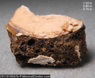 Rhodochrosite Fossils Russia Minerals Crystal Gem MIN