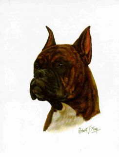 click to view image album beautiful brindle boxer dog mouse pad