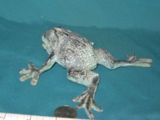 Vintage Cast Aluminum Garden Frog Very Detailed Casting with Rich Aged