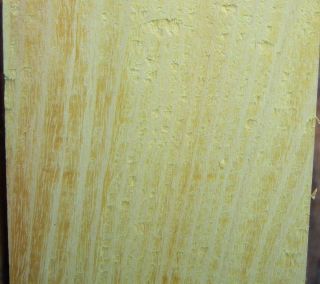 Bodark Osage Orange Bois darc Hedge Apple 2x2x38 Bow Stave Carving