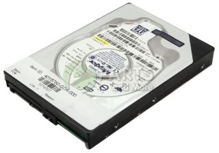 IBM 40GB SATA Desktop Hard Drive 40Y8760 102645901121