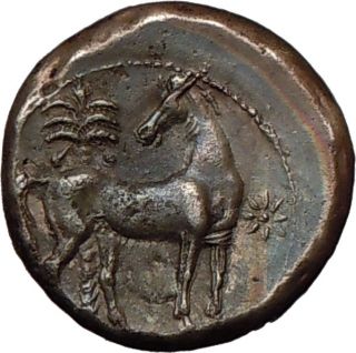 Carthage 300BC Didrachm Silver Greek Coin David R Sear
