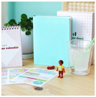 New Sunshine Delly Daily planner for 2013 Mint color 2013 calendar 3