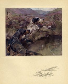 Grouse Hunting with Dogs 1909 Antique Color Print Grouse Hunt Pointer