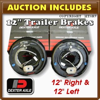 dexter 12 brake assemblies 1 left 1 right this auction includes 2