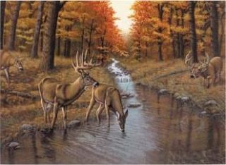 Deer Stag at Symonds Creek Painting Paint by Numbers