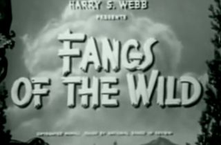 Fangs of The Wild DVD 1939 Dennis Moore Action Drama RARE Luana