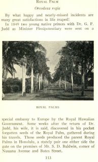 Our Familiar Island Trees Mary Dillingham Frear 1929 Hawaii Book w