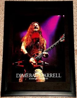 Dimebag Darrell Pantera Washburn Confederate Guitar Framed Tribute