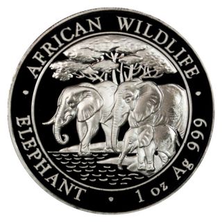 2013 Somalia 1 oz Silver Elephant 100 Shillings Gem Uncirculated