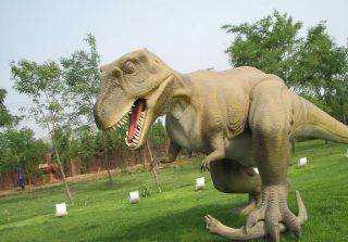 Jurassic Museum Park Dinosaur Fossil Display Figure Model Skeleton