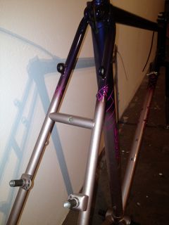 Headset and bottom bracket NOT included, auction is for frame and fork