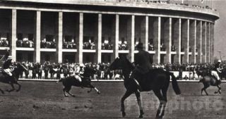 1936 Olympics Polo Equestrian Argentina Britain Wolff