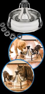 Drinkwell 360 Stainless Steel Pet Drinking Fountain with 6 Replacement