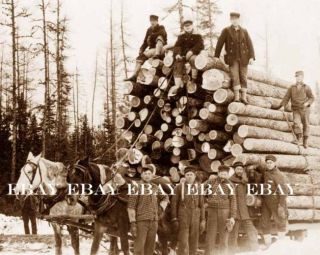 Early Old Massive Wagon Load of Logs Log Logger Loggers Logging Photo