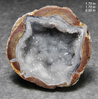 Dugway Geode Fluorescent Utah Minerals Crystals Gems Rocks Gemstones 2