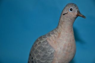 dove decoy very rare sgd ron rue