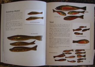 Duluth Fish Decoys Book Signed Numbered 299 300 David Perkins DFD
