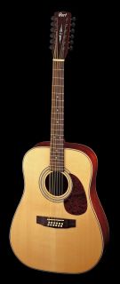New Cort EARTH70 Series 12 String Earth Acoustic Guitar
