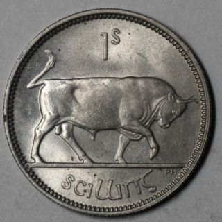 bu shilling or 12 pence from ireland features bull design terms of