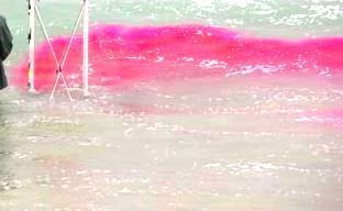 Fluorescent Red Sewer Tracing Dye