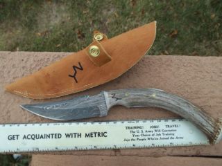  Clip Point Hunting Knife with Filework and Elk Antler Handle 4