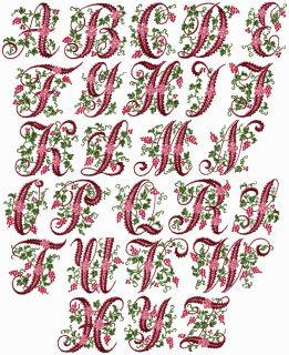 Curly Berries Font Machine Embroidery Designs 4x4 Hoop