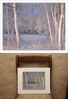 11 x 14 Matted Print Snowy Birches Lubec Maine Winter Trees Nature